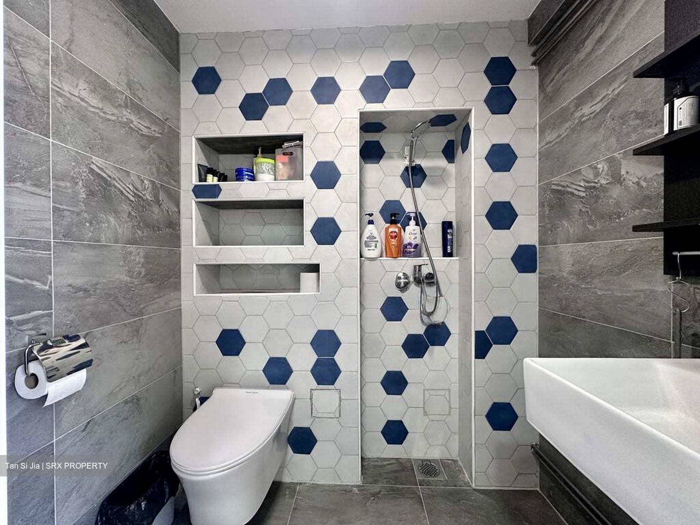 Blk 11 Di Tanjong Rhu (Kallang/Whampoa), HDB 5 Rooms #497185671